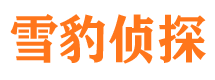 东西湖侦探公司